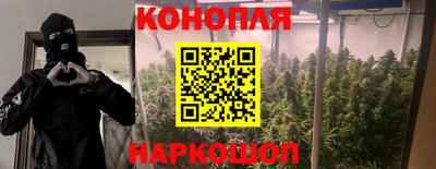 гидра Апрелевка