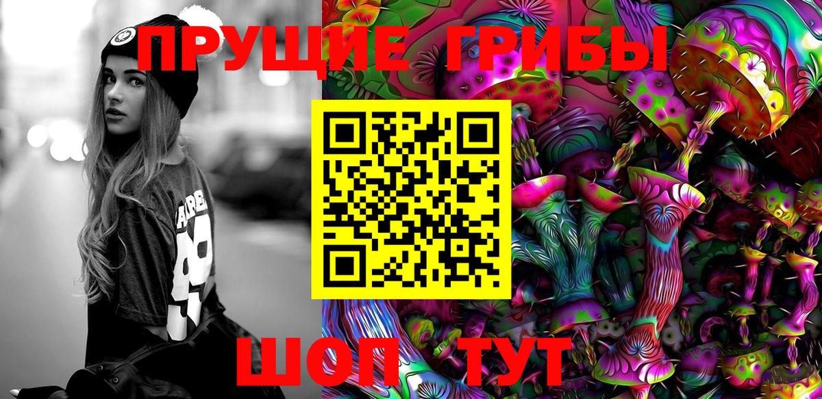 Ахтубинск  Галлюциногенные грибы Psilocybe  Вход с VPN 